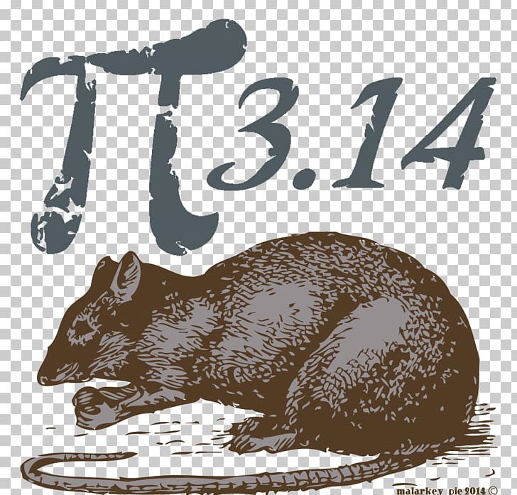 Pi Day Rat Mathematics Mammal PNG, Clipart, Animal, Animals, Bear, Beaver, Carnivora Free PNG Download