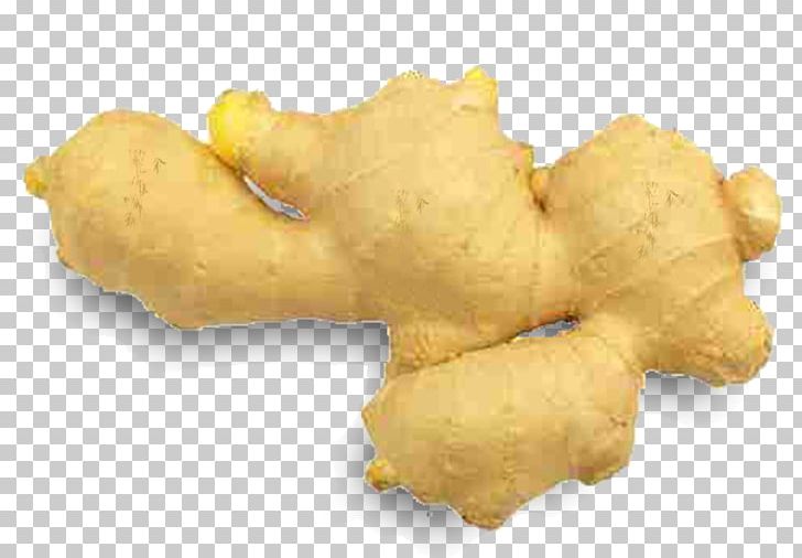 Root Vegetables Ginger PNG, Clipart, Bone, Cartoon, Download, Euclidean Vector, Food Free PNG Download