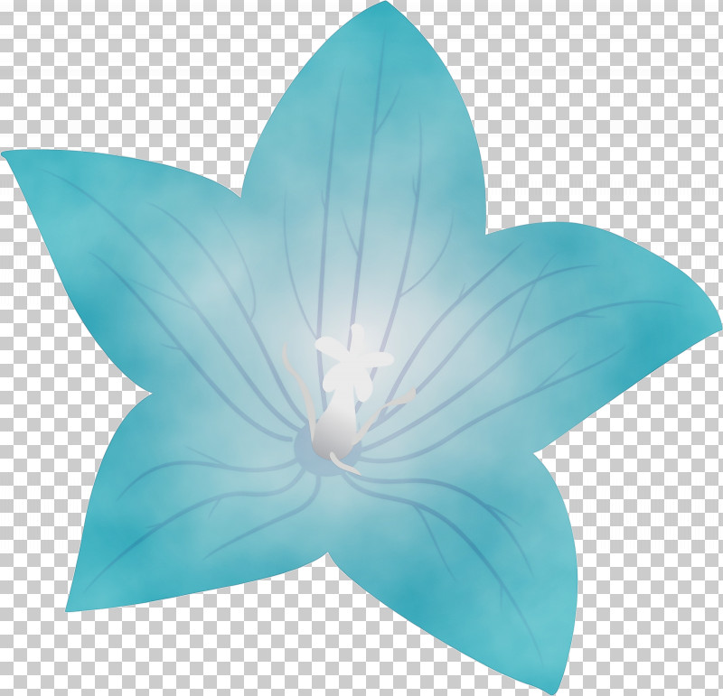 Leaf Turquoise M Symmetry Petal Microsoft Azure PNG, Clipart, Balloon Flower, Biology, Geometry, Leaf, Mathematics Free PNG Download