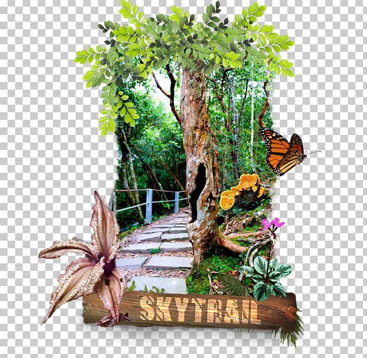 Langkawi Cable Car Panorama Langkawi Sdn. Bhd Top Station PNG, Clipart, Aerial Lift, Bhd, Cable Car, Flora, Flower Free PNG Download