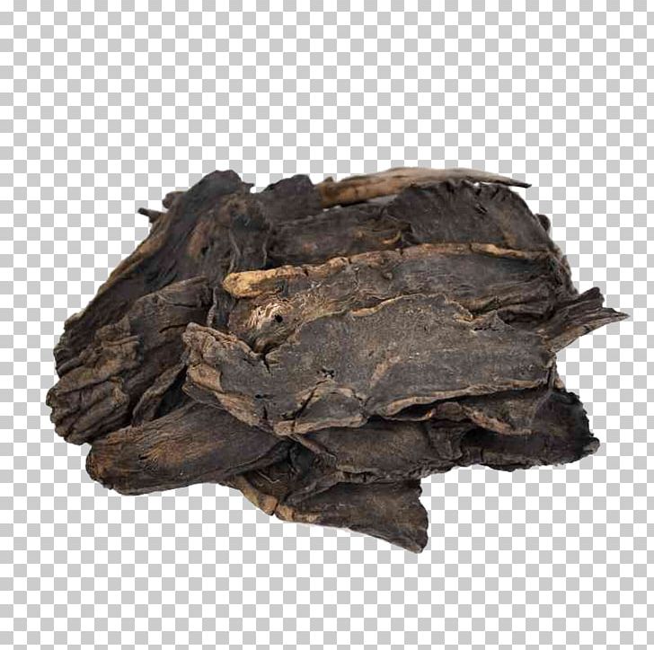 Scrophularia Ningpoensis Chinese Herbology Traditional Chinese Medicine Crude Drug PNG, Clipart, Animal Source Foods, Charcoal, Electronics, Medicinal, Object Free PNG Download