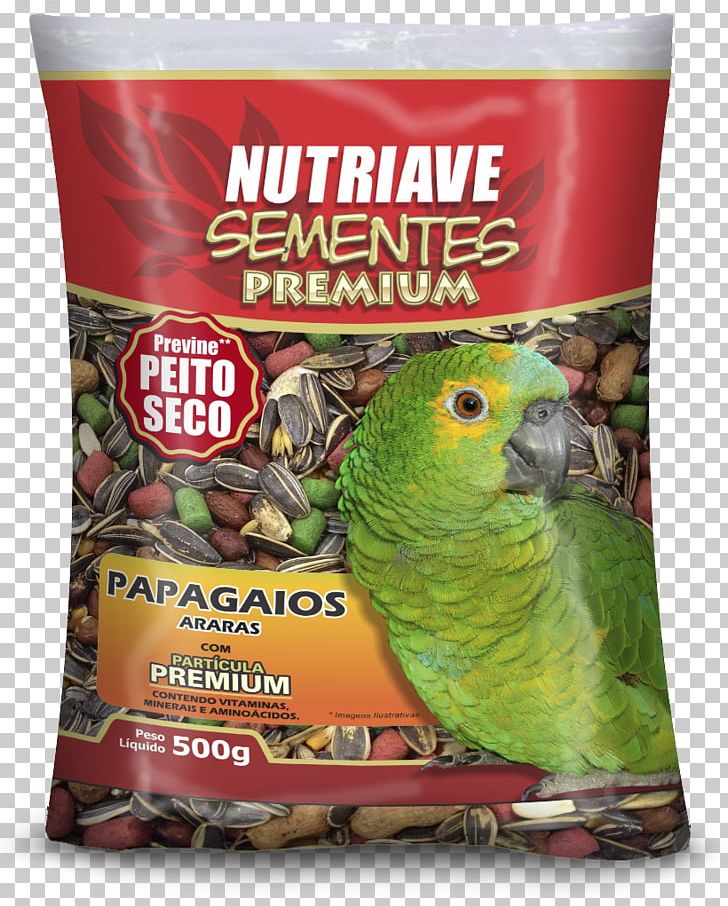 Bird Food Atlantic Canary Pet Food Parrot PNG, Clipart, Amazon Parrot, Animals, Atlantic Canary, Beak, Bird Free PNG Download