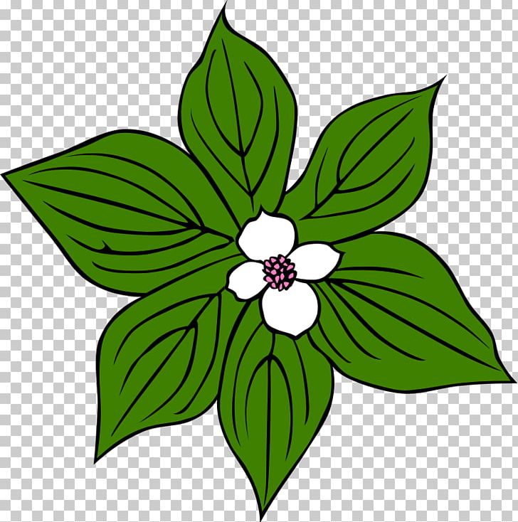 Flower Green PNG, Clipart, Flora, Floral Design, Flower, Flowering Plant, Free Content Free PNG Download