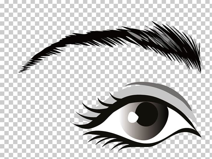 Human Eye PNG, Clipart, Anime Eyes, Black And White, Black Eye, Blue Eyes, Cartoon Eyes Free PNG Download