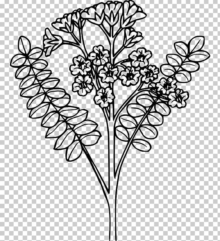 Jacob's Ladder Drawing PNG, Clipart,  Free PNG Download