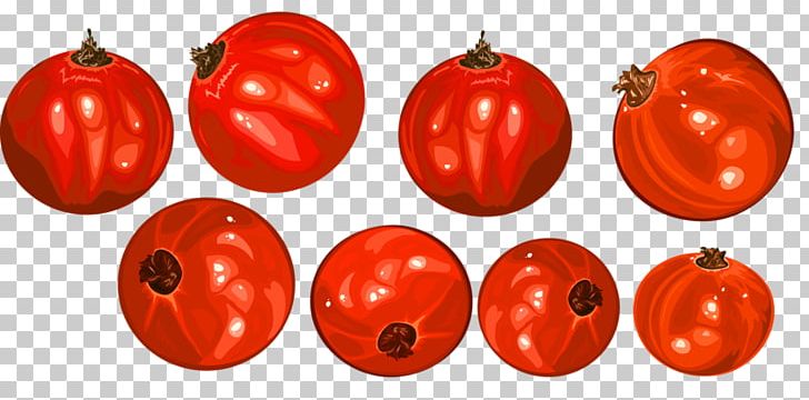Gratis PNG, Clipart, Auglis, Cartoon, Cartoon Pomegranate, Christmas , Food Free PNG Download