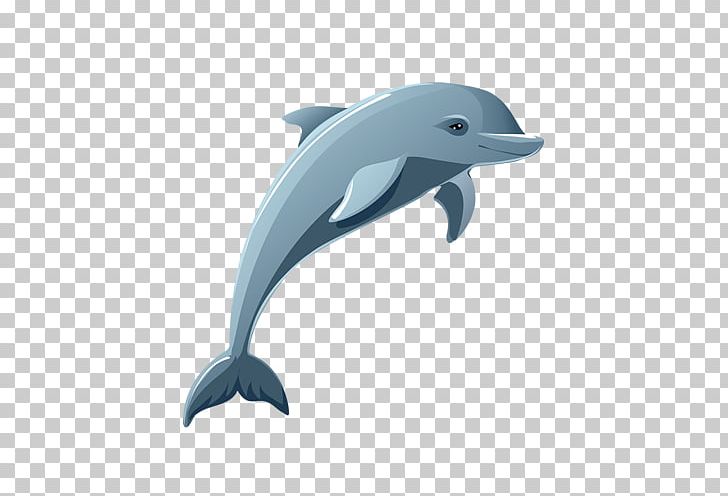 Dolphin Cartoon Drawing PNG, Clipart, Animal, Animals, Common Bottlenose Dolphin, Cute Dolphin, Dolphin Cartoon Free PNG Download
