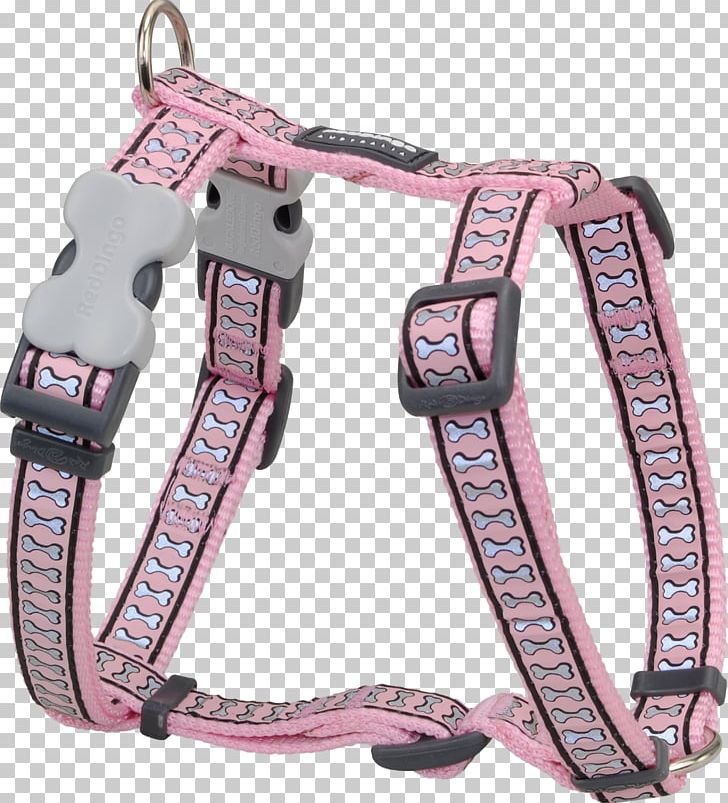 Dog Harness Dingo Horse Harnesses Pet PNG, Clipart, Animals, Bone, Buckle, Cat, Collar Free PNG Download