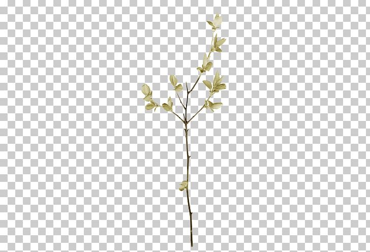 Plant Green Twig Leaf PNG, Clipart, Branch, Data, Data Compression, Download, Flora Free PNG Download
