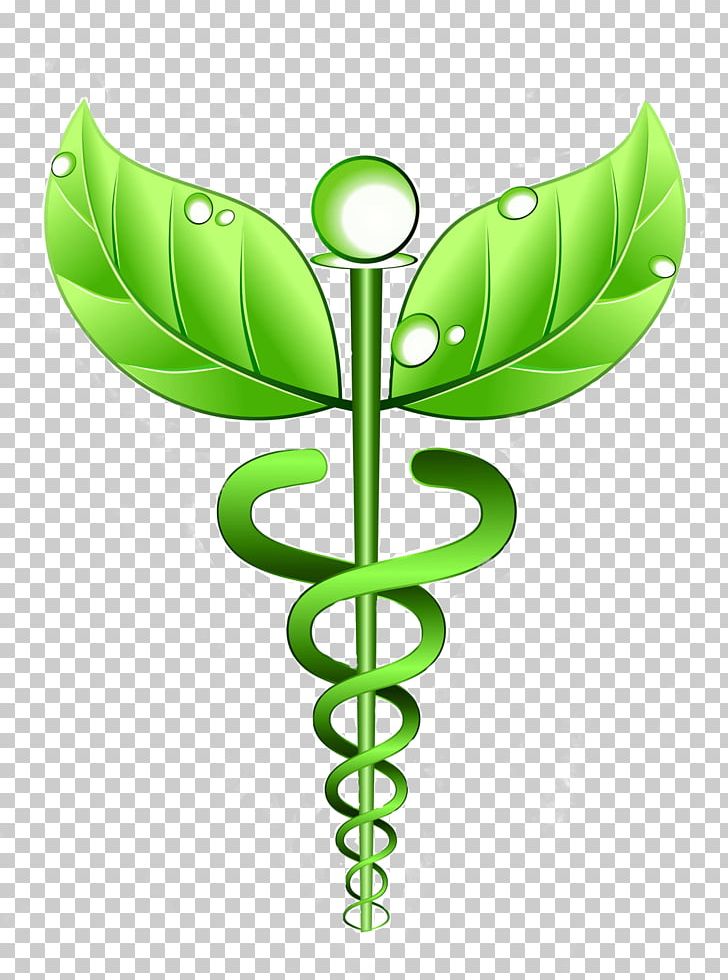 Alternative Health Services Medicine Homeopathy Therapy Naturopathy PNG, Clipart, Alternative Health Services, Flora, Flower, Flowering Plant, Green Free PNG Download