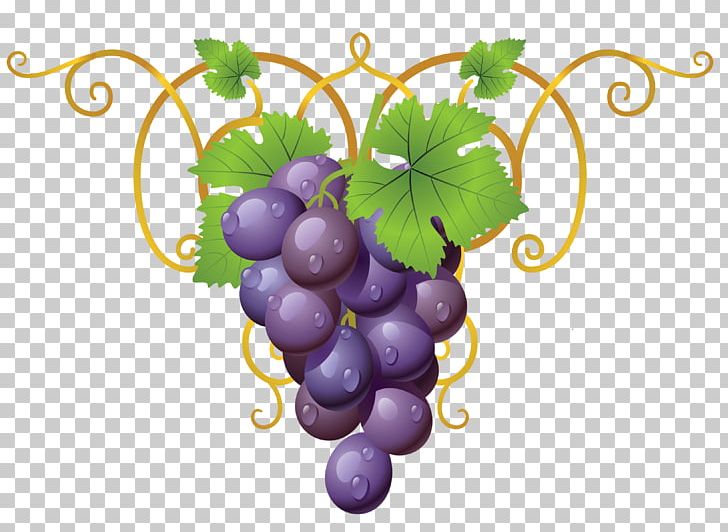 Common Grape Vine Wine PNG, Clipart, Clip Art, Common Grape Vine, Computer Icons, Decorative, Download Free PNG Download