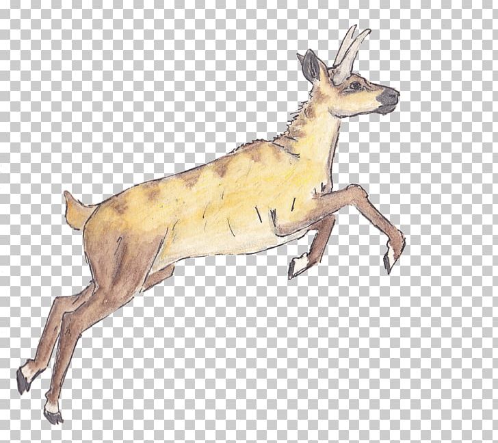 Reindeer Macropodidae Dog Antelope Mammal PNG, Clipart, Animal Figure, Antelope, Antler, Canidae, Cartoon Free PNG Download