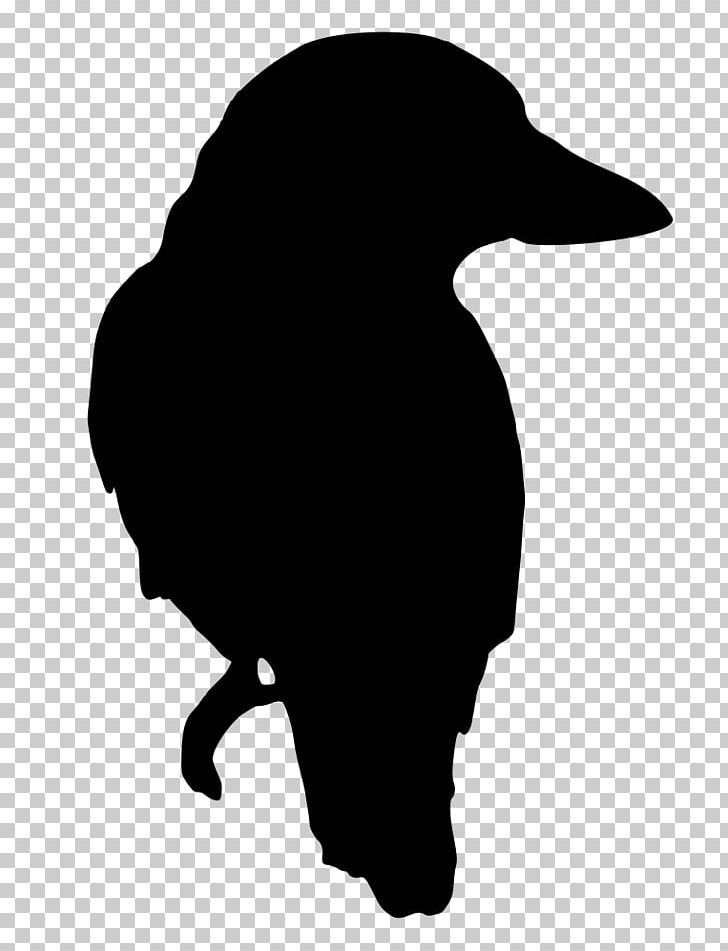 Bird Silhouette PNG, Clipart, Animals, Animal Silhouettes, Art, Beak, Bird Free PNG Download