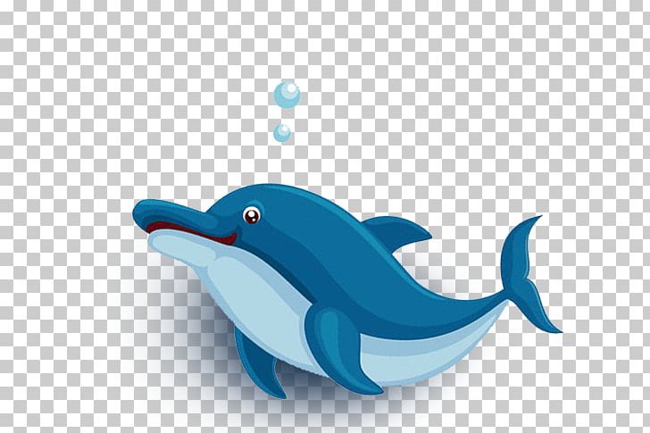 Common Bottlenose Dolphin Beach Illustration PNG, Clipart, Azure, Beach Ball, Beaches, Beach Umbrella, Biological Free PNG Download