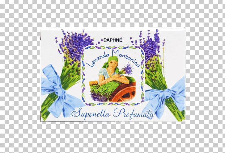 DAPHNÉ Sanremo Soap Lavender Perfume Cosmetics PNG, Clipart, Cosmetics, Daphne, Detergent, Flower, Lavender Free PNG Download