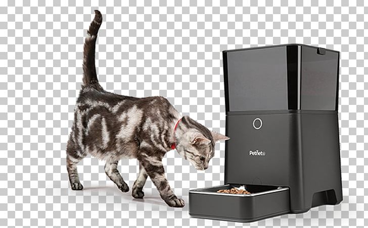 Dog Cat Petsafe Smart Feed Automatic Pet Feeder Pet Bowls Png