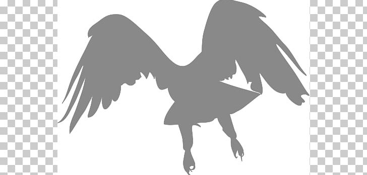 Flight Bird Eagle PNG, Clipart, Bald Eagle, Beak, Bird, Bird Flight, Bird Of Prey Free PNG Download