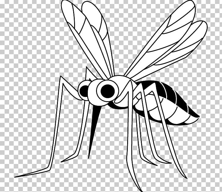 Mosquito Insect Illustration Filariasis 幼虫 PNG, Clipart, Area, Arthropod, Artwork, Black, Black And White Free PNG Download