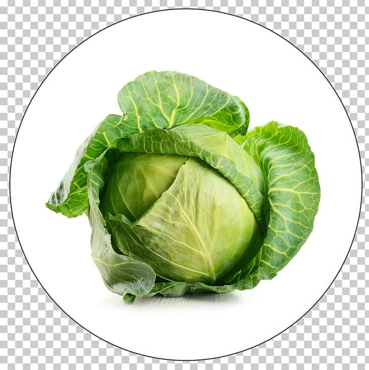 Savoy Cabbage Cauliflower Broccoli Red Cabbage PNG, Clipart, Brassica Oleracea, Broccoli, Brussels Sprout, Cabbage, Carrot Free PNG Download