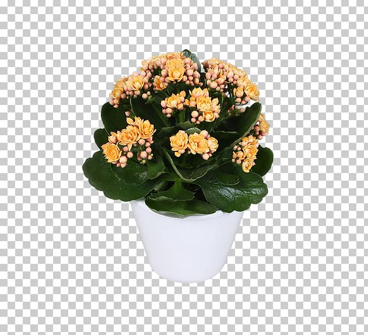 Bryanston PNG, Clipart, Annual Plant, Artificial Flower, Bryanston Gauteng, Cut Flowers, Flower Free PNG Download