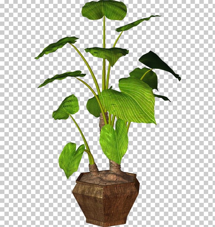 Leaf Flowerpot Houseplant Plants PNG, Clipart, Branch, Flower, Flowerpot, Garden, Herb Free PNG Download