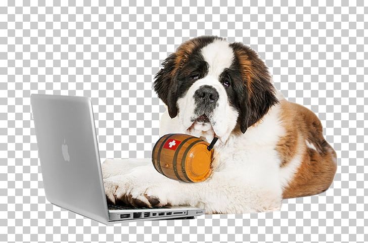 St. Bernard Puppy Bernese Mountain Dog Cat Laptop PNG, Clipart, Alps, Animals, Bernard, Bernese Mountain Dog, Blizzard Free PNG Download