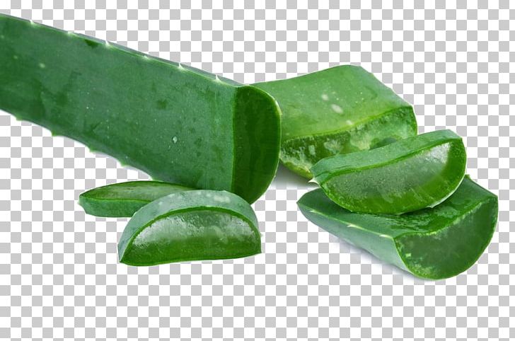 Aloe Vera Leaf Centuryplant Stock Photography PNG, Clipart, Acne, Agave, Alamy, Aloe, Aloe Plant Free PNG Download
