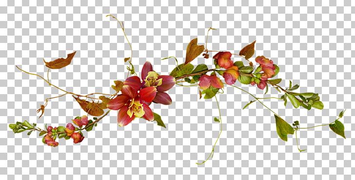 Flower Plant Vine Drawing Blog PNG, Clipart, Blog, Blossom, Branch, Color, Conifer Cone Free PNG Download