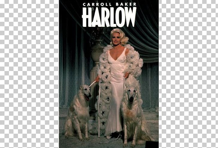 Marino Bello Actor Film Jean Harlow PNG, Clipart,  Free PNG Download