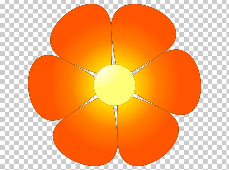 Open Flower Graphics PNG, Clipart, Blue, Circle, Color, Download, Drawing Free PNG Download