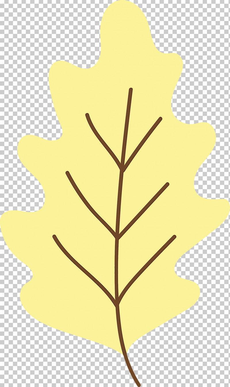 Leaf Yellow M-tree Line H&m PNG, Clipart, Biology, Flower, Hm, Leaf, Line Free PNG Download