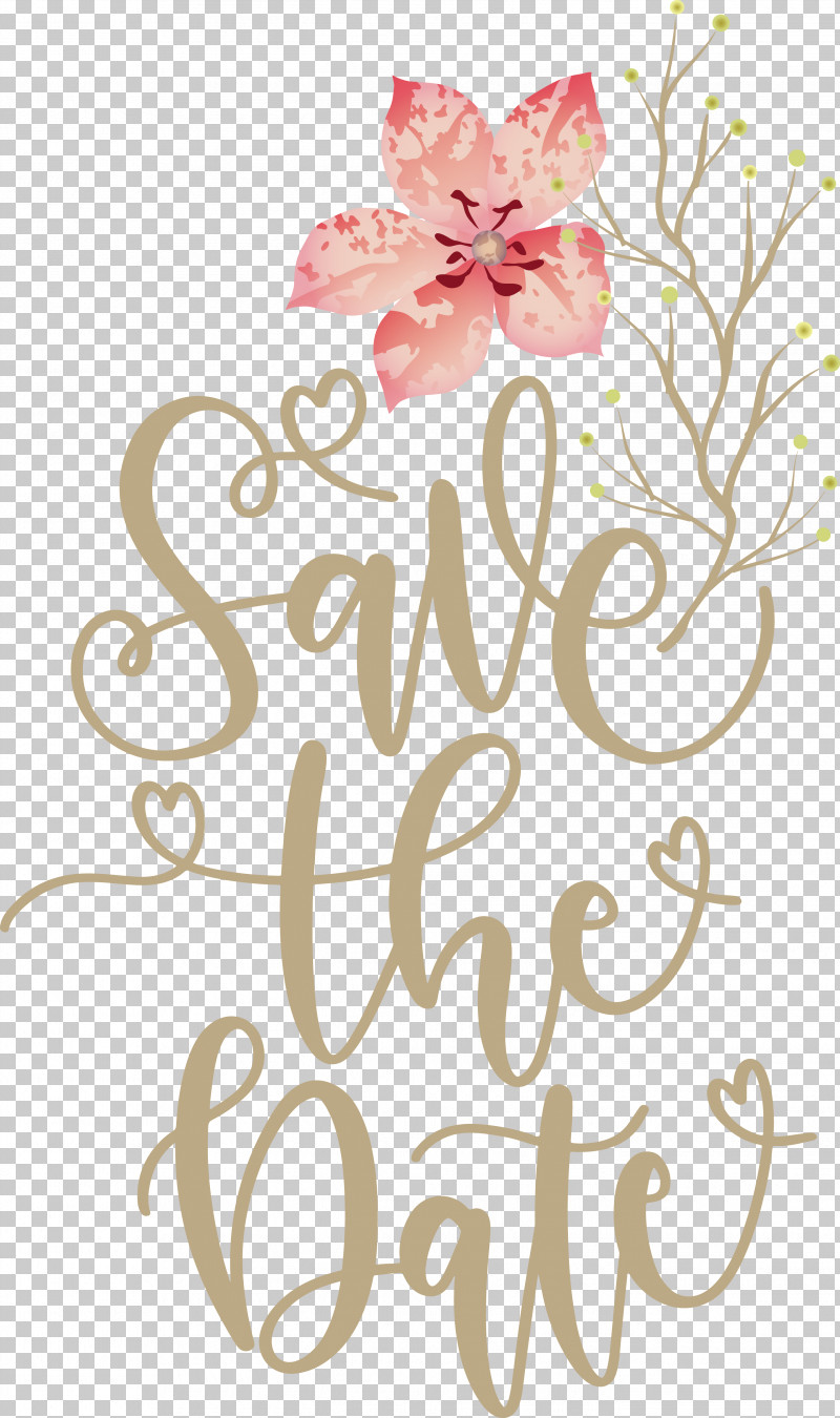Floral Design PNG, Clipart, Branching, Calligraphy, Cut Flowers, Floral Design, Flower Free PNG Download