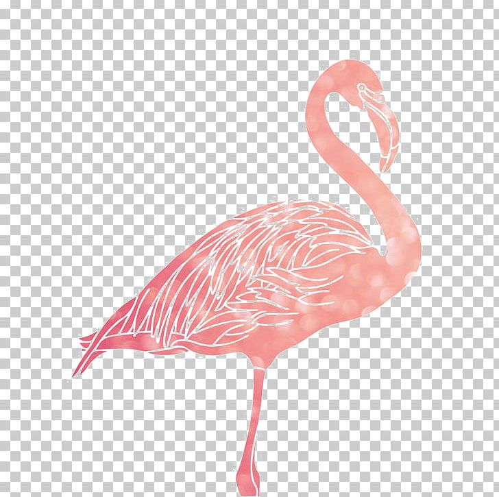 Flamingo 1080p PNG, Clipart, 1080p, African, African Animals, Animal, Animals Free PNG Download