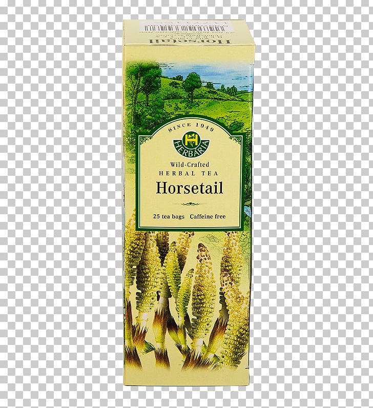 Flowering Tea Herbal Tea Field Horsetail Tea Bag PNG, Clipart,  Free PNG Download