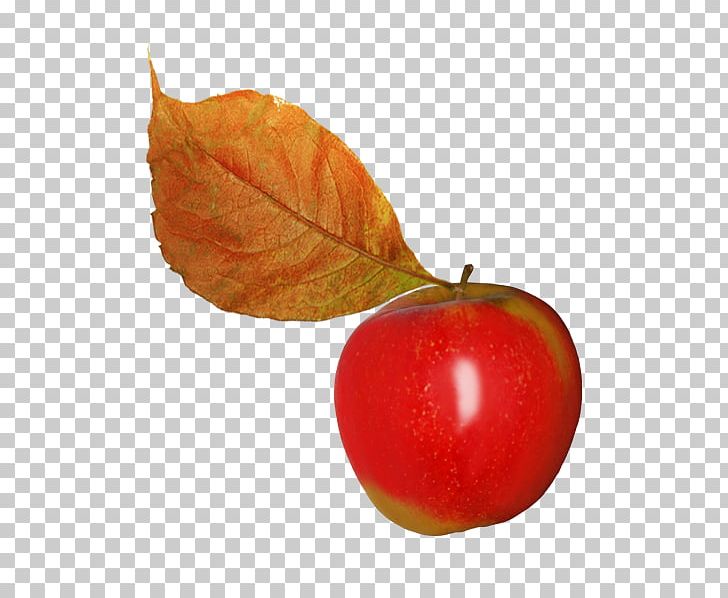 Apple Leaf Fruit PNG, Clipart, Apple, Apple Fruit, Apples, Banana Leaves, Cherry Free PNG Download
