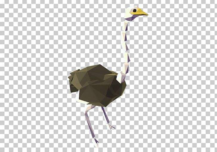Common Ostrich Bird Crane Beak PNG, Clipart, Administrator, Advertising, Animals, Beak, Bird Free PNG Download