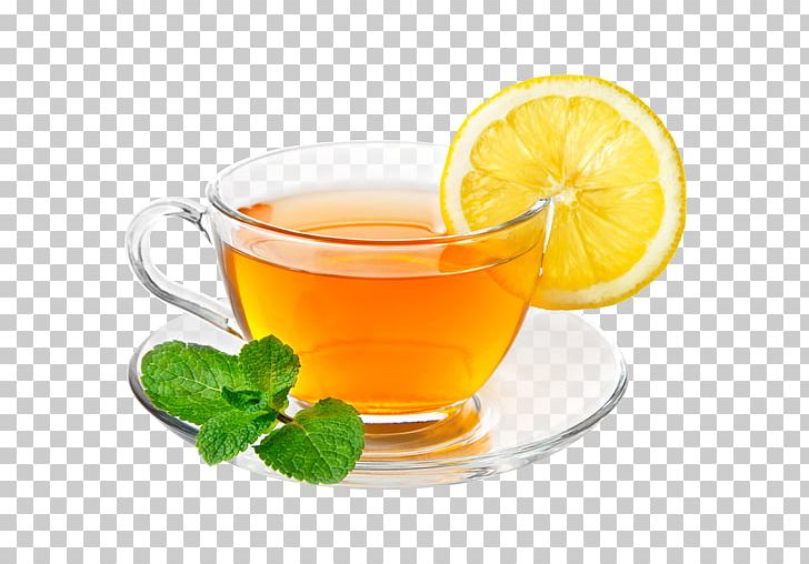 Green Tea Ginger Tea White Tea Lemon PNG, Clipart, Citric Acid, Citrus, Cocktail Garnish, Cup, Drink Free PNG Download