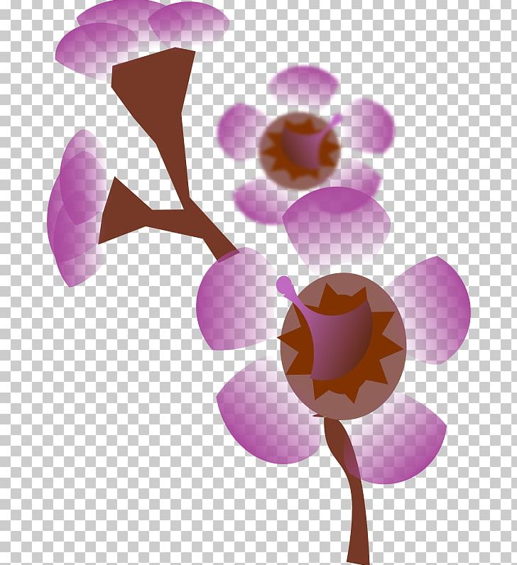 Flower PNG, Clipart, Blossom, Branch, Computer Wallpaper, Desktop Wallpaper, Download Free PNG Download