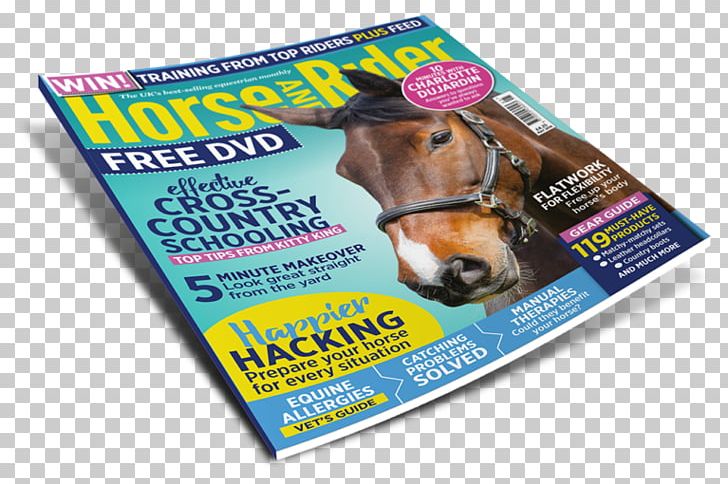 Horse&Rider Equestrian Horse Show Magazine PNG, Clipart, Advertising, Animals, Brand, Door, Equestrian Free PNG Download