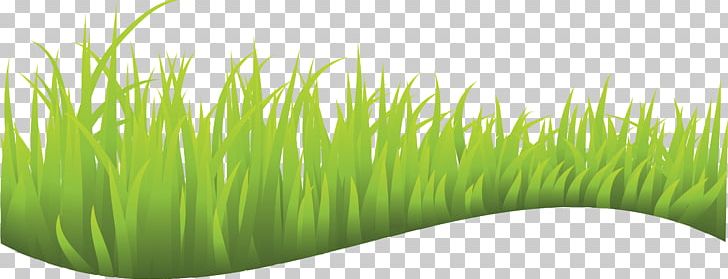 Lawn PNG, Clipart, Art, Cdr, Chrysopogon Zizanioides, Commodity, Coreldraw Free PNG Download