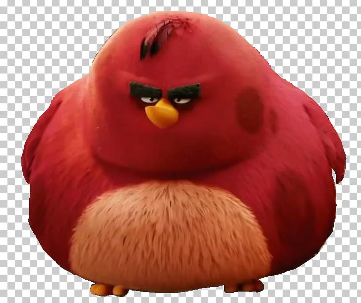 Angry Birds Go! Angry Birds 2 Angry Birds POP! Mighty Eagle PNG, Clipart, Angry Birds, Angry Birds 2, Angry Birds Go, Angry Birds Movie, Angry Birds Pop Free PNG Download