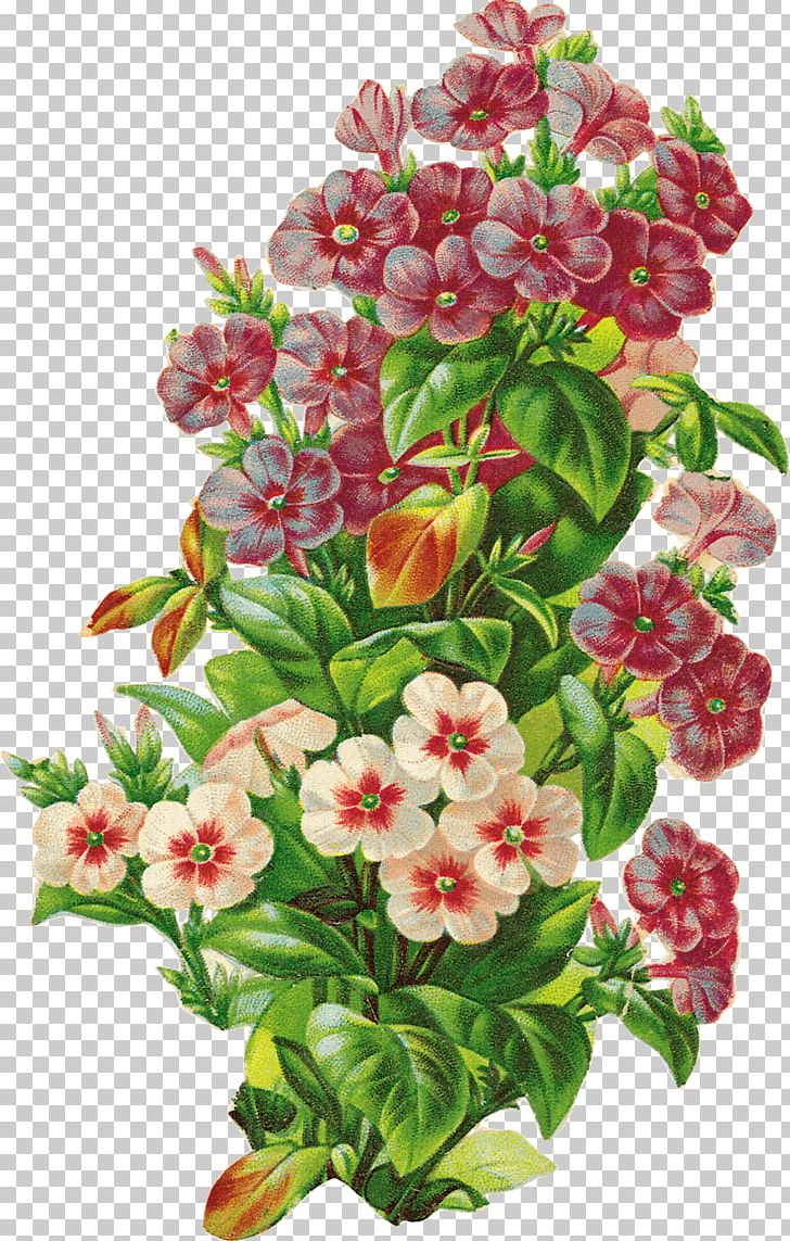Floral Design Retro Style U68eeu30acu30fcu30eb Flower PNG, Clipart, Annual Plant, Art, Blossom, Cut Flowers, Floral Free PNG Download