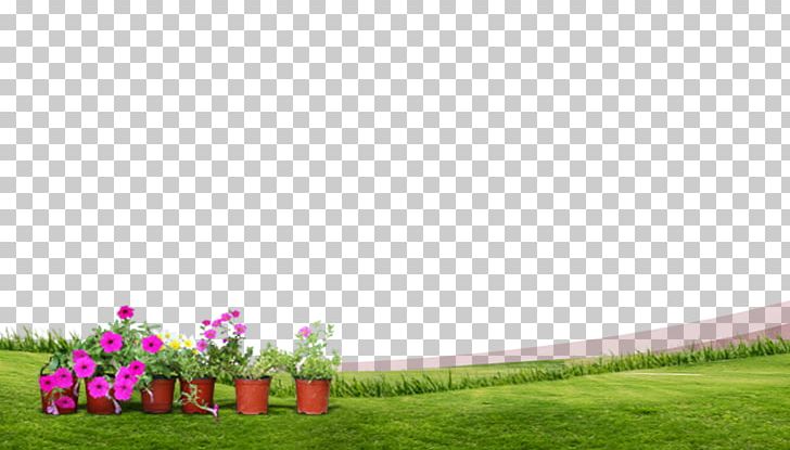 Grass Spring Green Meadow Lawn PNG, Clipart, Background Green, Designer, Download, Euclidean Vector, Flower Free PNG Download