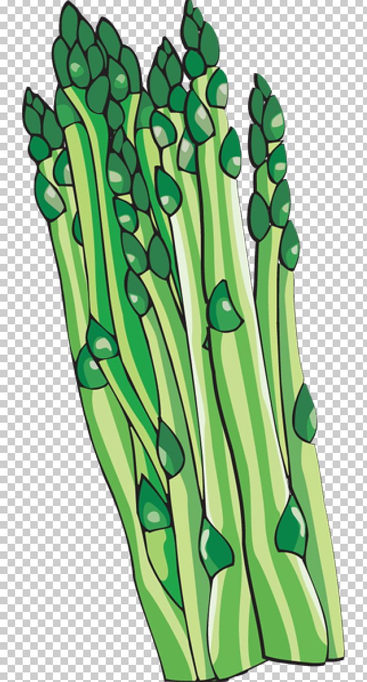 Bunch Of Asparagus Vegetable PNG, Clipart, Asparagus, Asparagus Cliparts, Bunch, Bunch Of Asparagus, Clip Art Free PNG Download