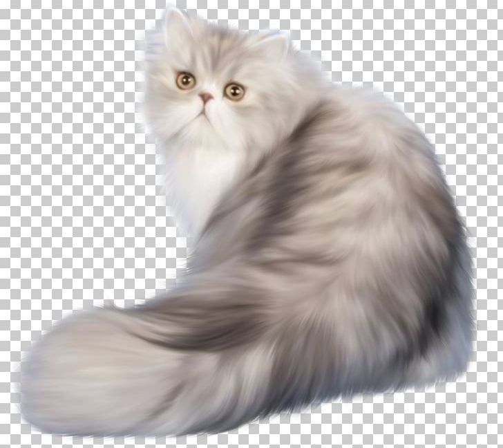 Cat Kitten Animation PNG, Clipart, Animal, Animals, Animation, Asian Semi Longhair, British Semi Longhair Free PNG Download