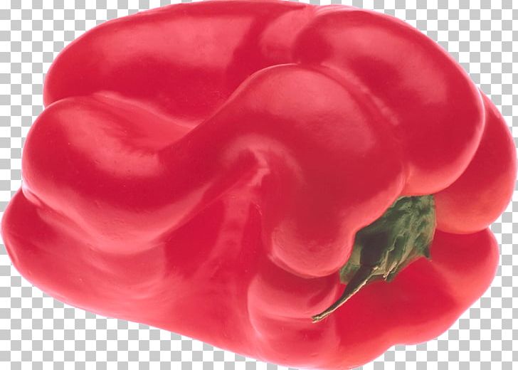 Chili Pepper Cayenne Pepper Vegetable PNG, Clipart, Bell Pepper, Bell Peppers And Chili Peppers, Chili Pepper, Food, Foods Free PNG Download