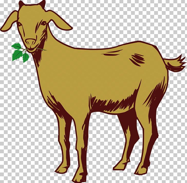 Kinder Goat Sheep PNG, Clipart, Animal, Animals, Barbary Sheep, Cattle Like Mammal, Cow Goat Family Free PNG Download