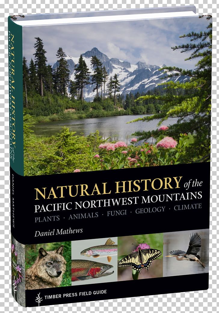 Natural History Of The Pacific Northwest Mountains: Plants PNG, Clipart,  Free PNG Download