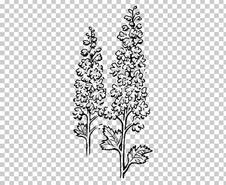 Twig Floral Design Cut Flowers Plant Stem Leaf PNG, Clipart, Art, Black And White, Branch, Christmas Tree, Cut Flowers Free PNG Download