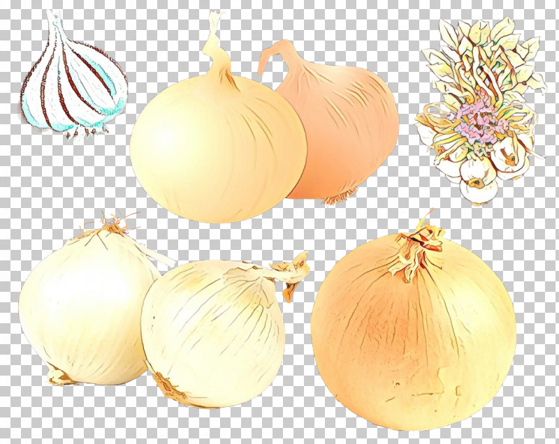 Christmas Ornament PNG, Clipart, Allium, Christmas Ornament, Food, Garlic, Onion Free PNG Download